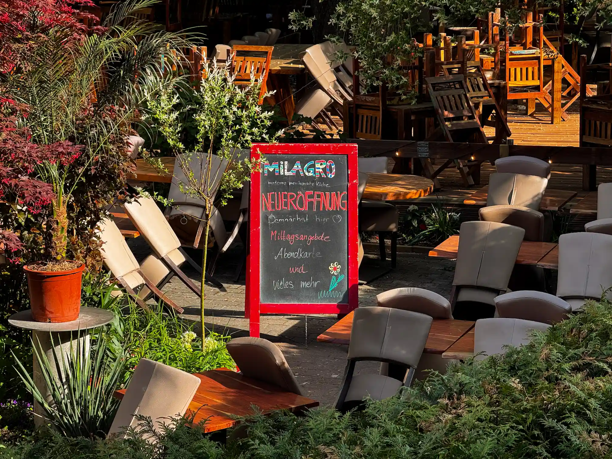 milagro restaurant photo